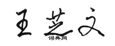 骆恒光王芝文行书个性签名怎么写