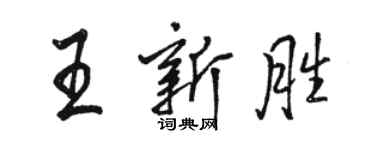 骆恒光王新胜行书个性签名怎么写