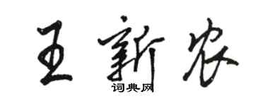 骆恒光王新农行书个性签名怎么写
