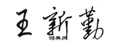 骆恒光王新勤行书个性签名怎么写
