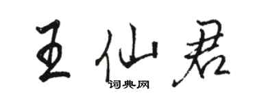 骆恒光王仙君行书个性签名怎么写