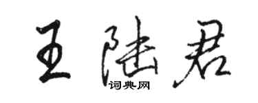 骆恒光王陆君行书个性签名怎么写
