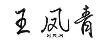 骆恒光王凤青行书个性签名怎么写