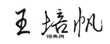 骆恒光王培帆行书个性签名怎么写