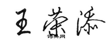 骆恒光王荣添行书个性签名怎么写