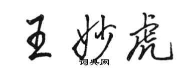 骆恒光王妙虎行书个性签名怎么写