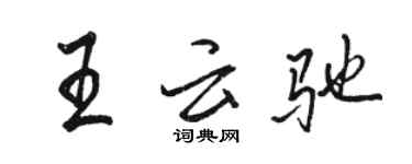 骆恒光王云驰行书个性签名怎么写