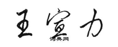 骆恒光王宣力行书个性签名怎么写