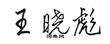 骆恒光王晓彪行书个性签名怎么写