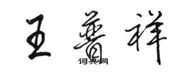 骆恒光王普祥行书个性签名怎么写