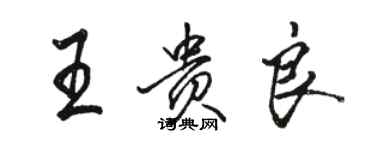骆恒光王贵良行书个性签名怎么写