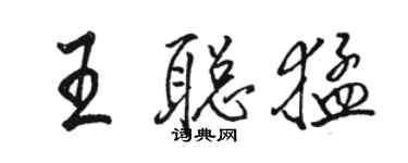 骆恒光王聪猛行书个性签名怎么写