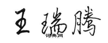 骆恒光王瑞腾行书个性签名怎么写