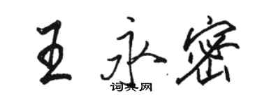 骆恒光王永密行书个性签名怎么写