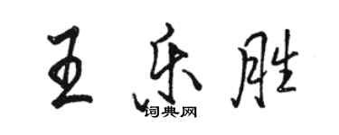 骆恒光王乐胜行书个性签名怎么写