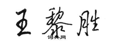 骆恒光王黎胜行书个性签名怎么写