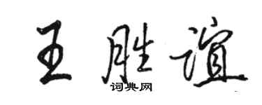 骆恒光王胜谊行书个性签名怎么写