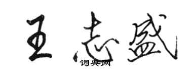 骆恒光王志盛行书个性签名怎么写