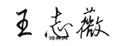 骆恒光王志薇行书个性签名怎么写