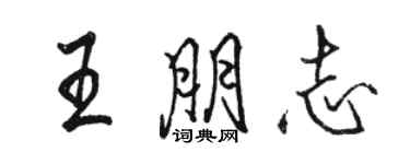 骆恒光王朋志行书个性签名怎么写