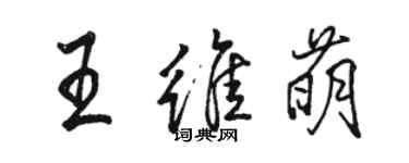 骆恒光王维萌行书个性签名怎么写
