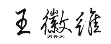 骆恒光王徽维行书个性签名怎么写
