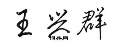骆恒光王兴群行书个性签名怎么写