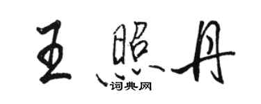 骆恒光王照丹行书个性签名怎么写