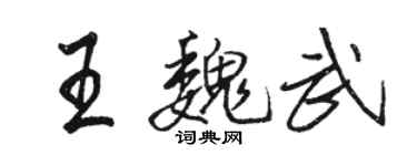 骆恒光王魏武行书个性签名怎么写