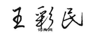 骆恒光王彩民行书个性签名怎么写
