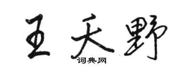 骆恒光王夭野行书个性签名怎么写