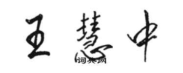 骆恒光王慧中行书个性签名怎么写