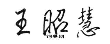 骆恒光王昭慧行书个性签名怎么写