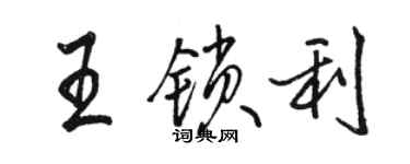 骆恒光王锁利行书个性签名怎么写