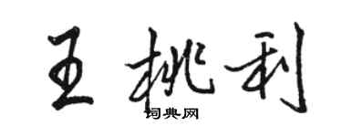 骆恒光王桃利行书个性签名怎么写