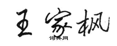 骆恒光王家枫行书个性签名怎么写