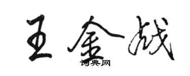 骆恒光王金战行书个性签名怎么写