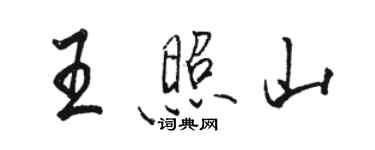 骆恒光王照山行书个性签名怎么写