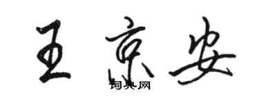 骆恒光王京安行书个性签名怎么写