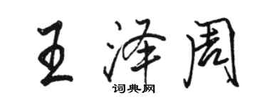 骆恒光王泽周行书个性签名怎么写