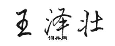 骆恒光王泽壮行书个性签名怎么写