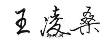 骆恒光王凌桑行书个性签名怎么写