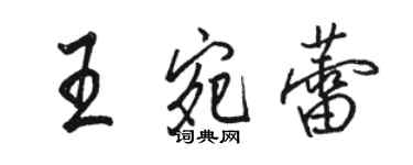 骆恒光王宛蕾行书个性签名怎么写