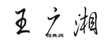 骆恒光王广湘行书个性签名怎么写