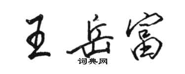 骆恒光王岳富行书个性签名怎么写
