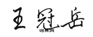 骆恒光王冠岳行书个性签名怎么写