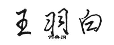 骆恒光王羽白行书个性签名怎么写