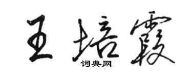 骆恒光王培霞行书个性签名怎么写