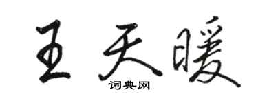骆恒光王天暖行书个性签名怎么写