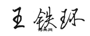骆恒光王铁环行书个性签名怎么写